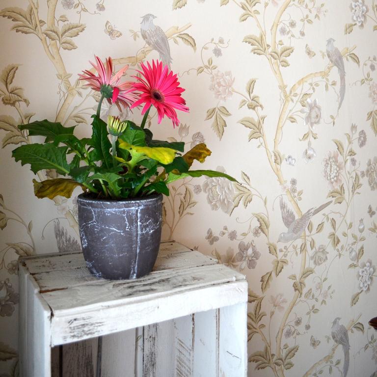 La Casa Del Duca Panzió Milánó Szoba fotó